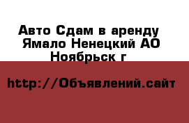 Авто Сдам в аренду. Ямало-Ненецкий АО,Ноябрьск г.